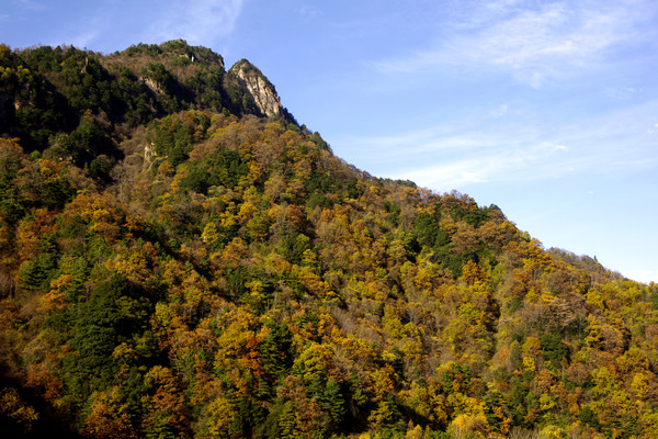 _IGP9426.JPG