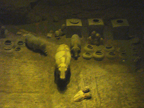 DSC08816_副本.jpg