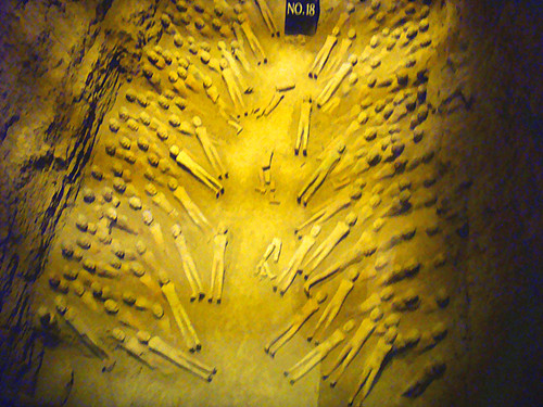 DSC08817_副本.jpg