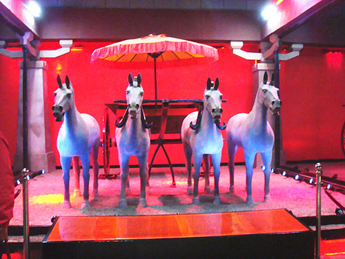 DSC08828_副本.jpg