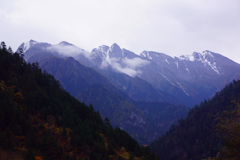 DSC01662_副本.jpg