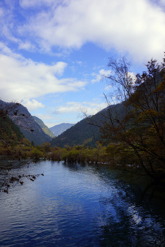 DSC01289_副本.jpg