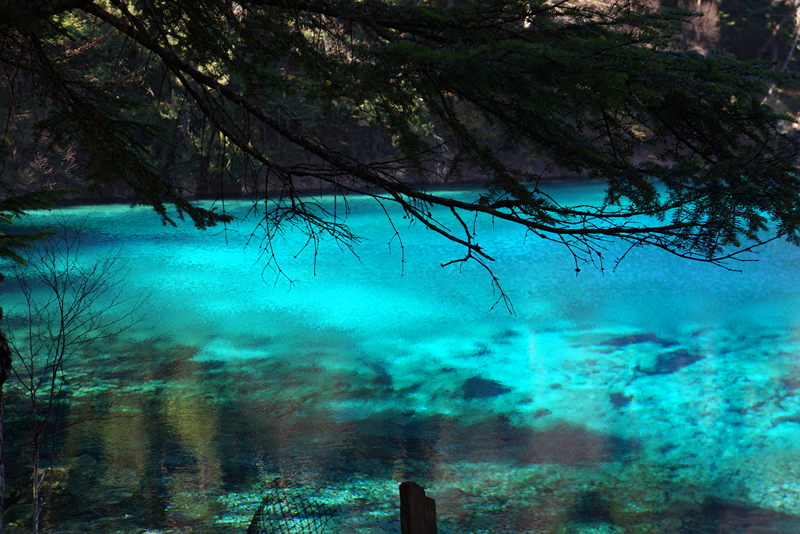 DSC01403_副本.jpg