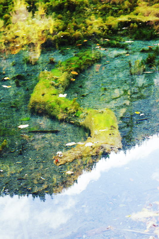 DSC01520_副本.jpg