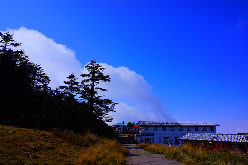 DSC02435_副本.jpg