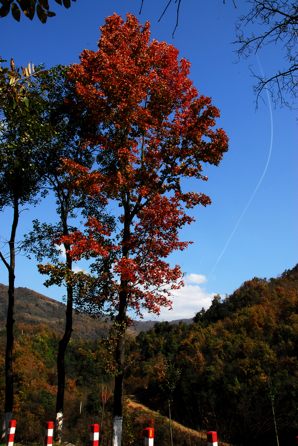 DSC_0011.JPG
