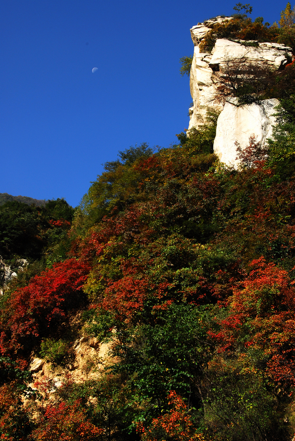DSC_0018.JPG