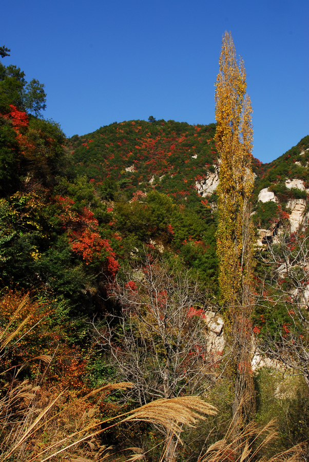 DSC_0030.JPG