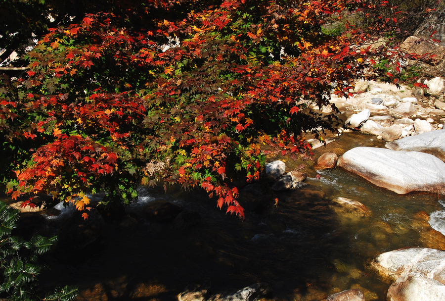 DSC_0070.JPG