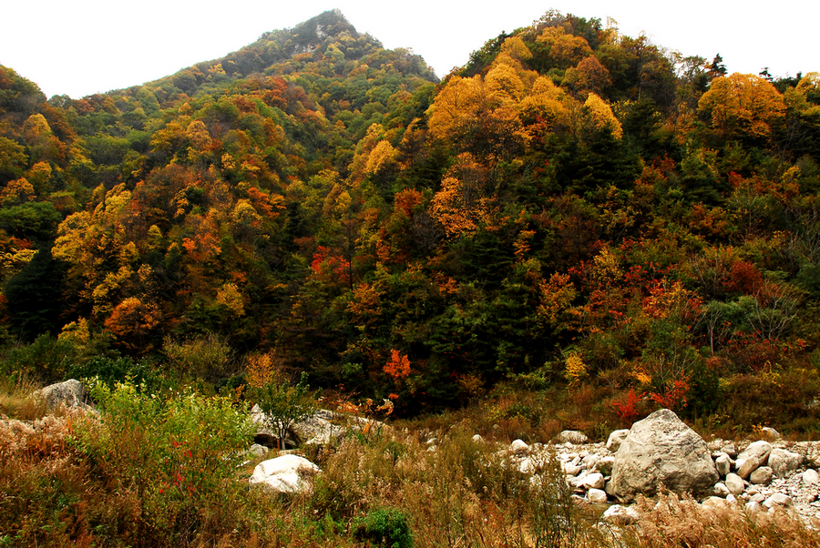 DSC_0111.JPG