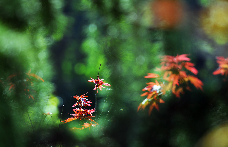 C_0020.JPG