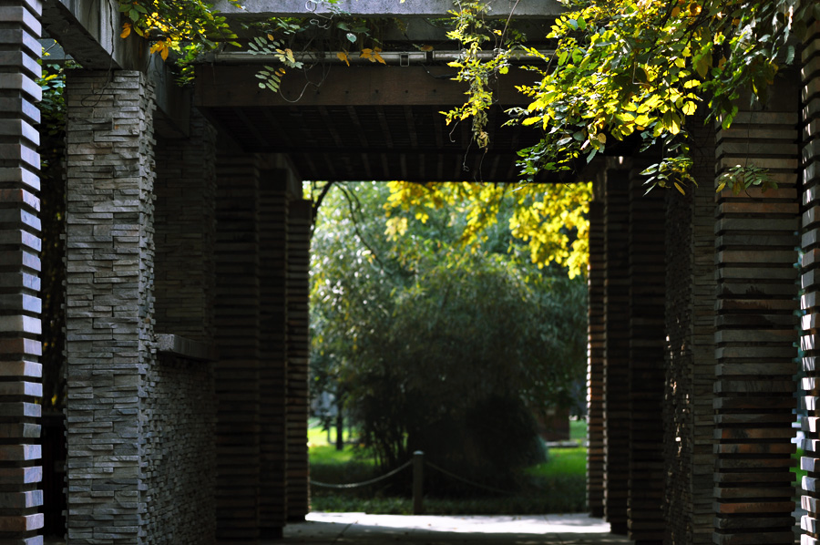 DSC_0011.JPG