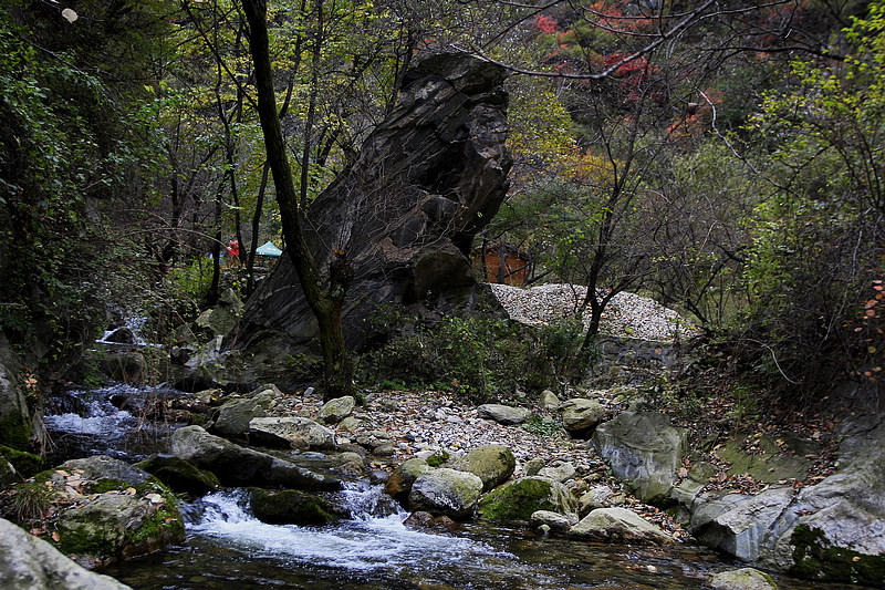 _MG_8095.jpg