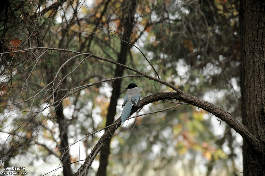 IMG_3293_副本.jpg