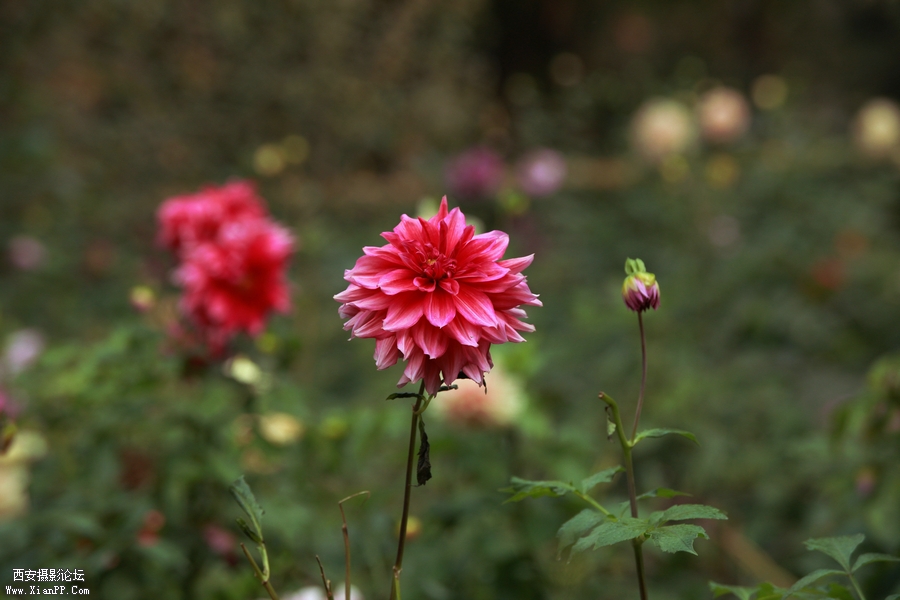 IMG_3296_副本.jpg