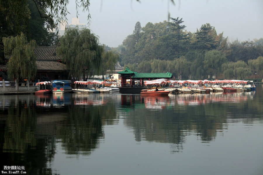 IMG_3316_副本.jpg