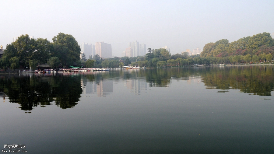 P1010816_副本.jpg