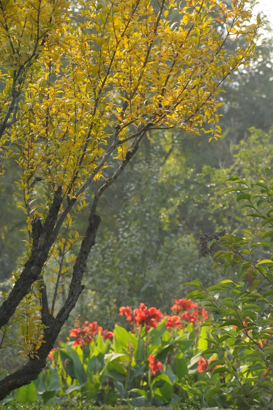 DSC_1514.JPG