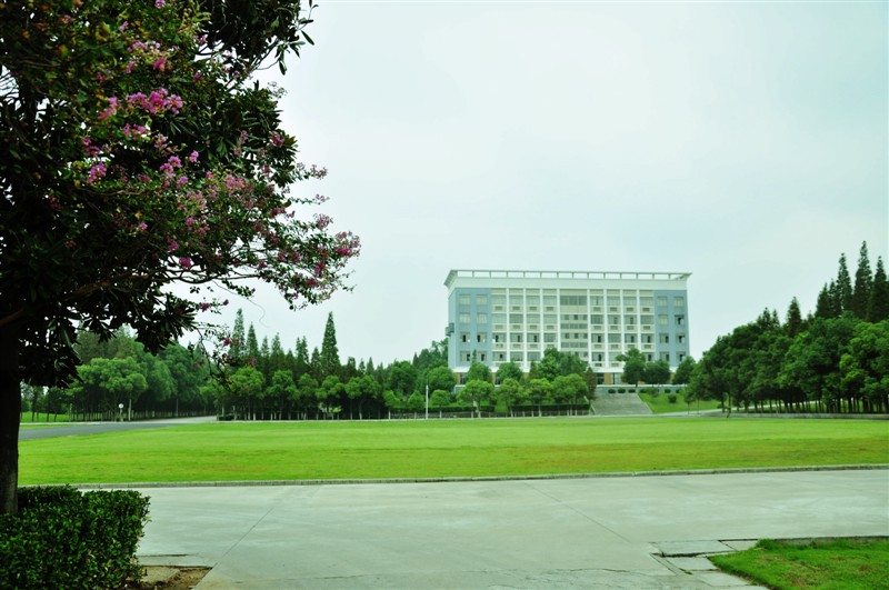 psb333.jpg