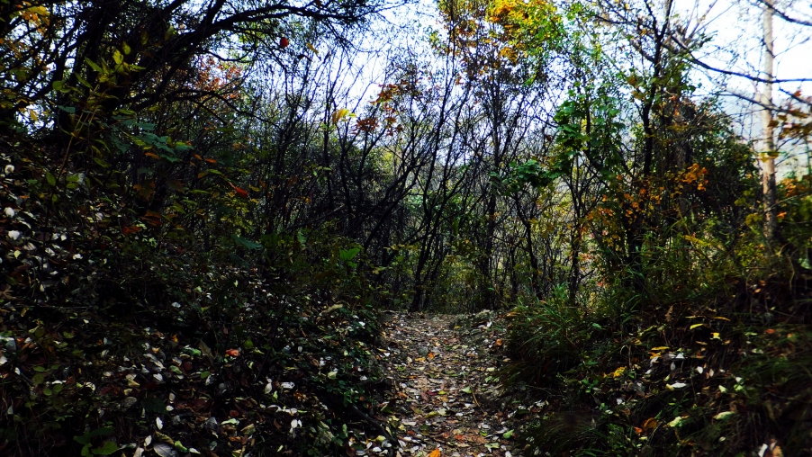 dscf7274_副本.jpg