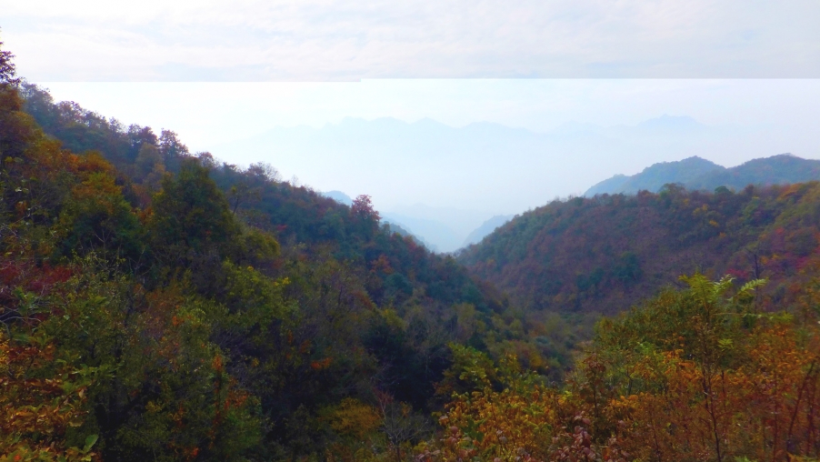 dscf7293_副本.jpg