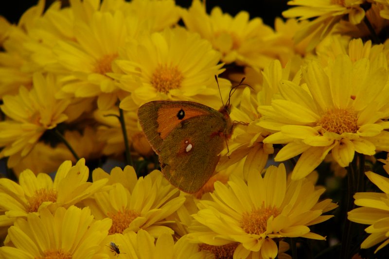 DSC05875.JPG