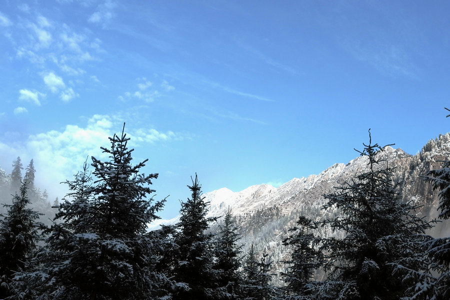L1021615.jpg
