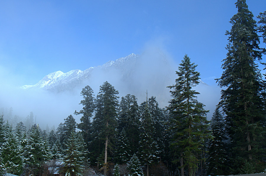 L1021641.jpg