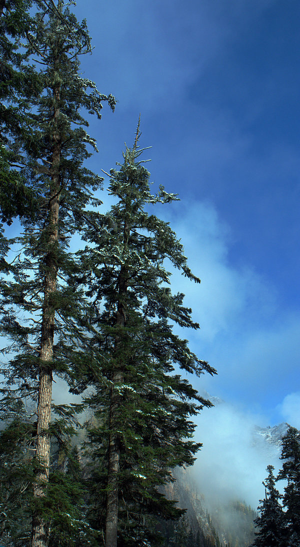 L1021661.jpg