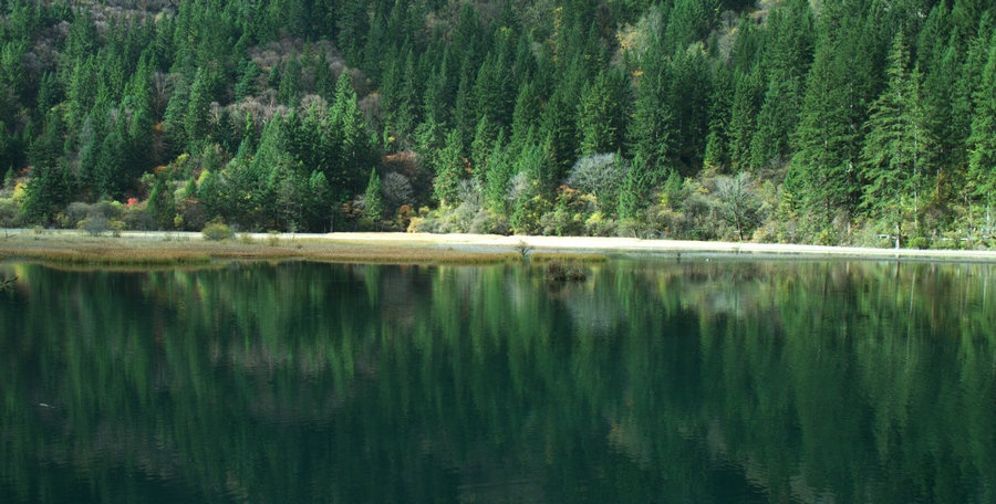 L1021710.jpg