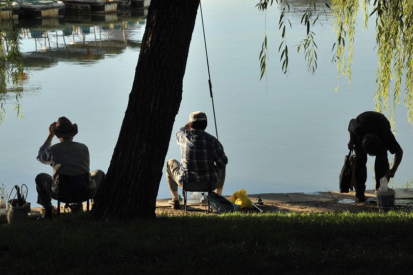 DSC_1105.JPG