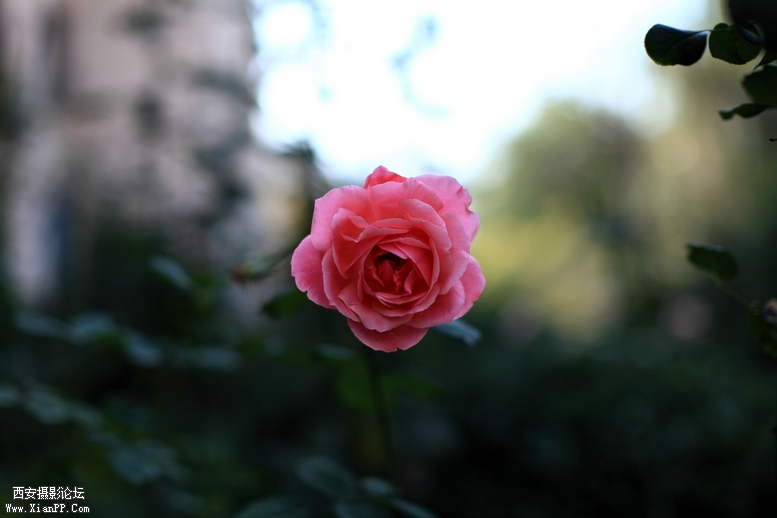 IMG_3410_副本.jpg