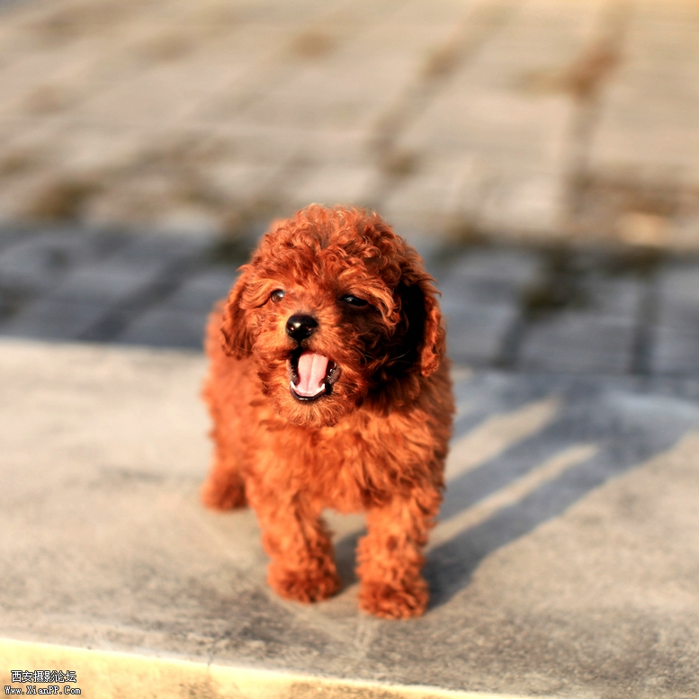 IMG_3464_副本.jpg