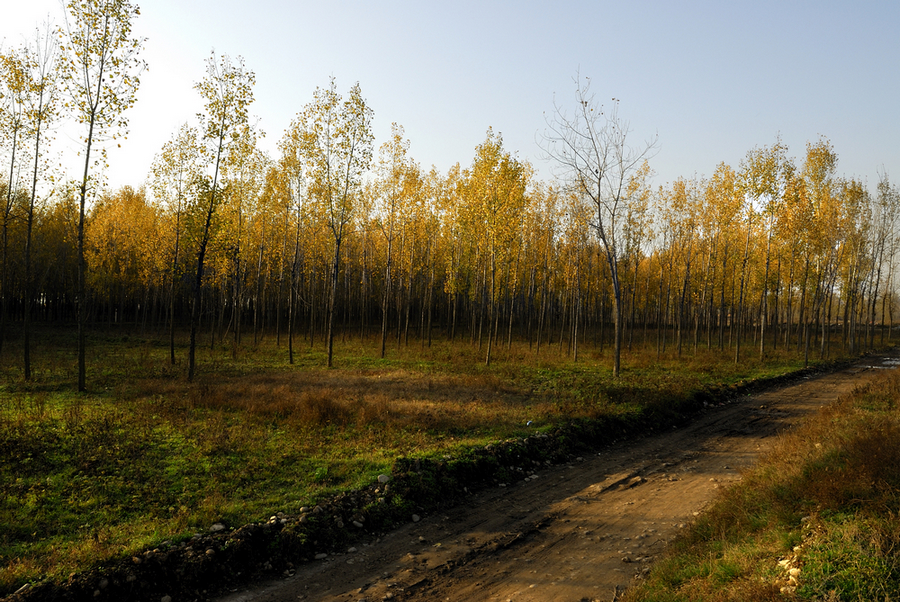 _DSC0095.jpg
