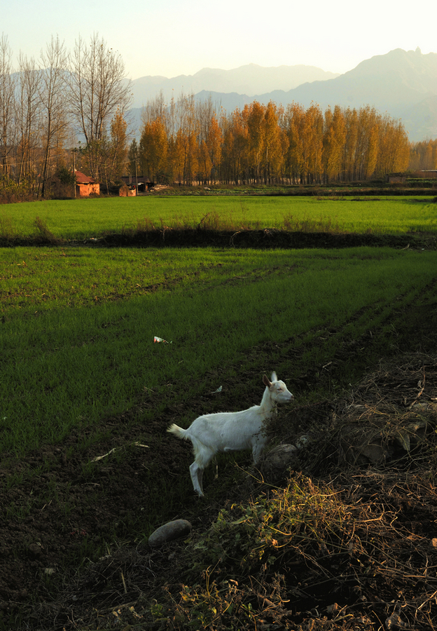 _DSC0126.jpg