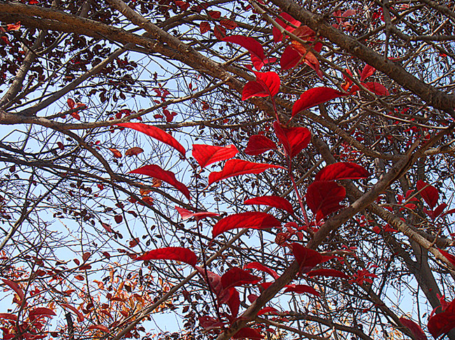 DSC09169_副本.jpg