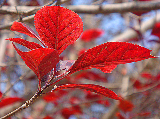 DSC09171_副本_副本.jpg