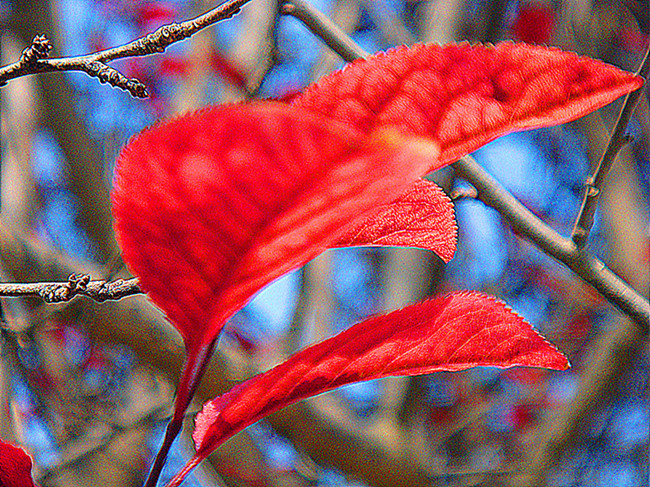 DSC09172_副本_副本.jpg