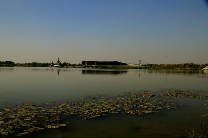 IMG_4180.jpg