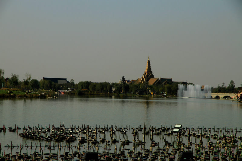 IMG_4144.jpg
