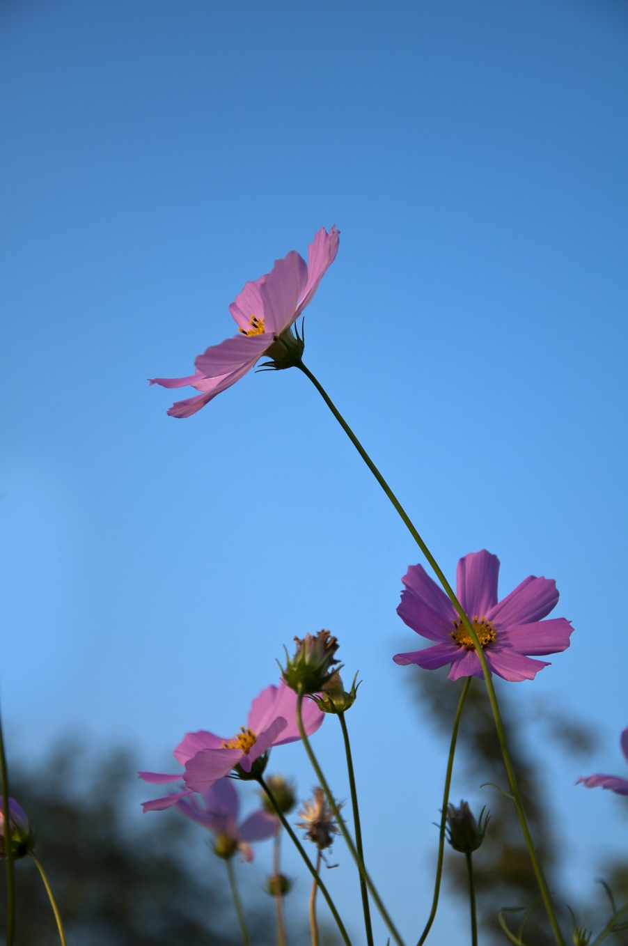 DSC_0018.jpg