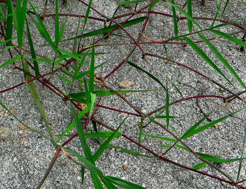 P1040876.jpg