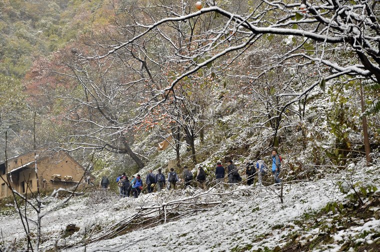 _DSC6005.jpg
