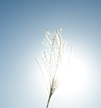 DSC01862_副本.jpg
