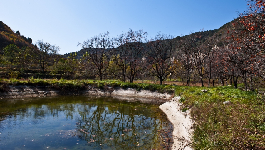 DSC_3471.JPG