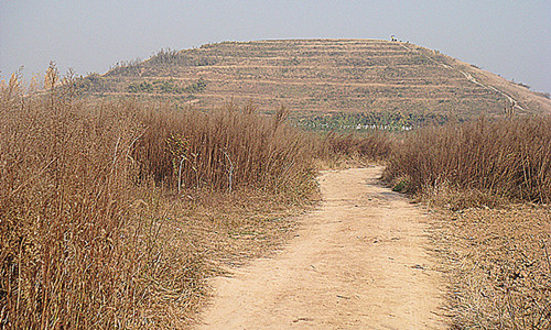 DSC09223_副本_副本.jpg
