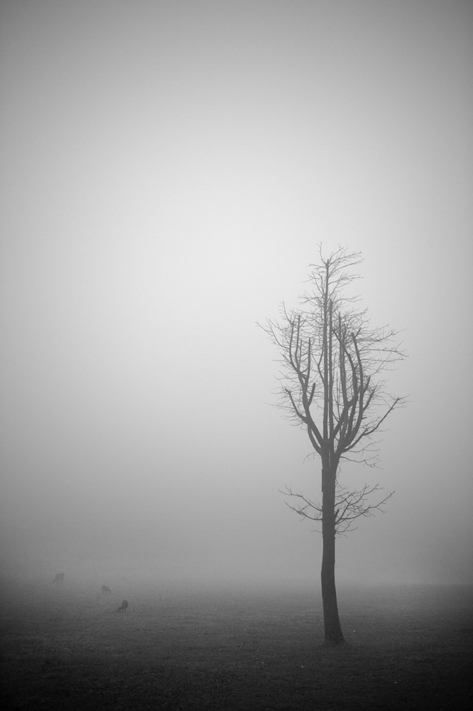 a18983756_01000.jpg