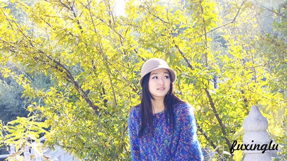 DSCF0450_副本.jpg