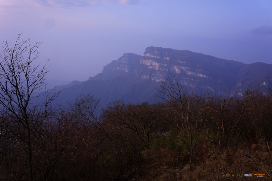 DSC08117a.jpg