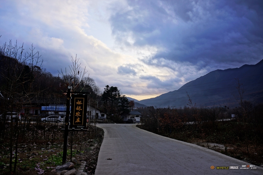 DSC08150a.jpg